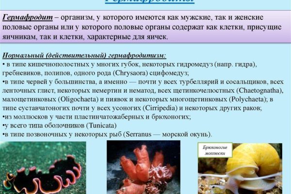 Маркетплейс кракен kraken darknet top