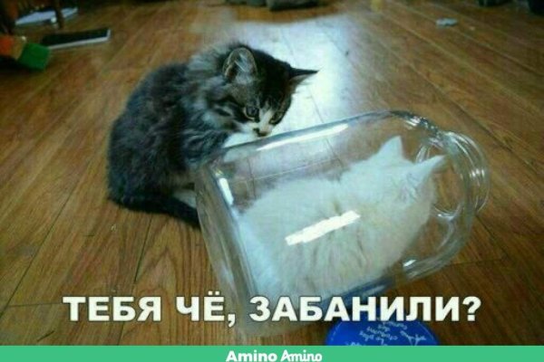 Ссылка на кракен на сегодня