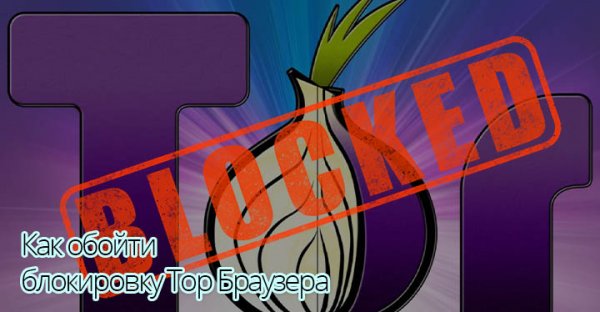 Что такое кракен плейс